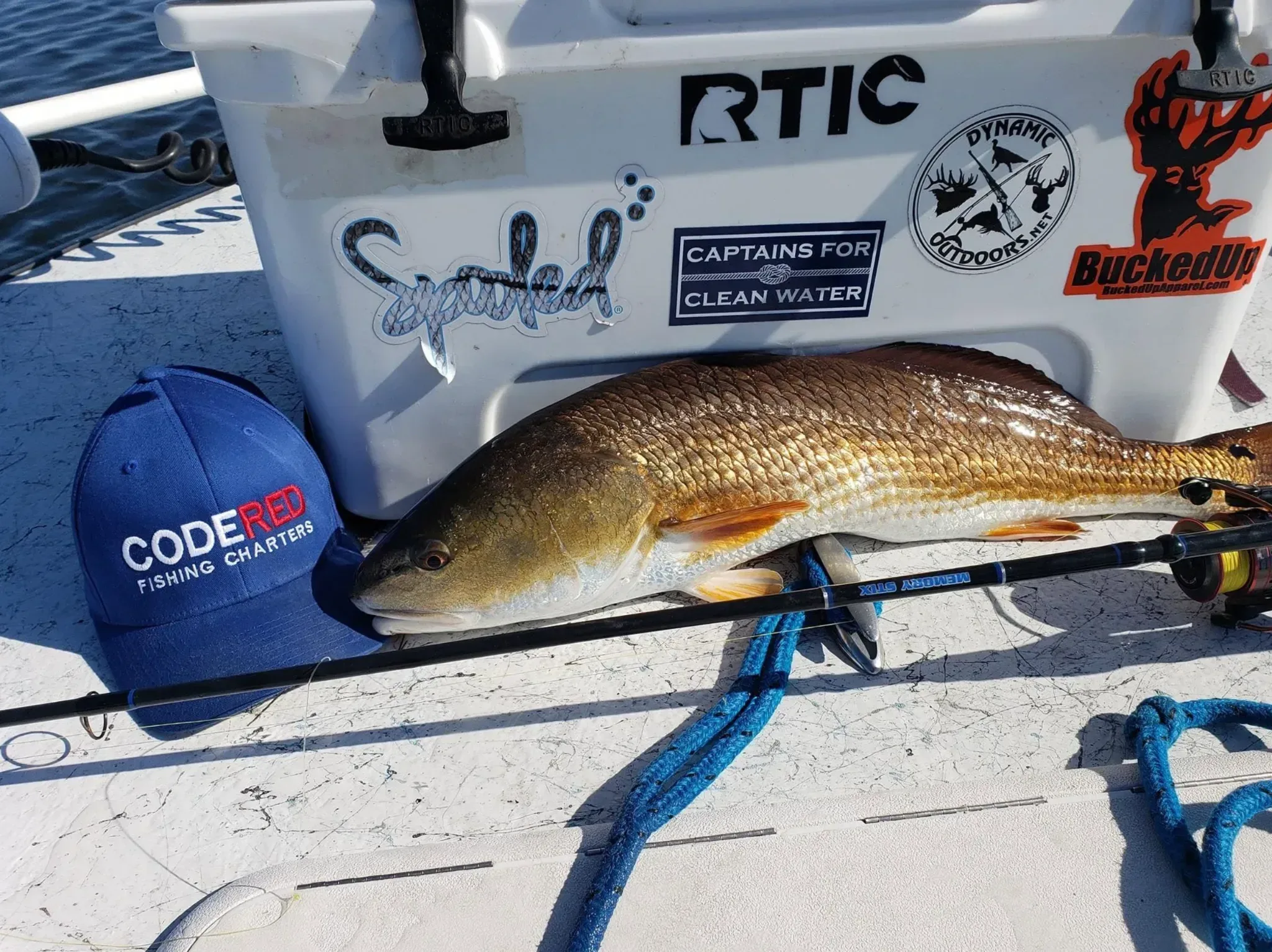 Photo from Code Red Fishing Charters
