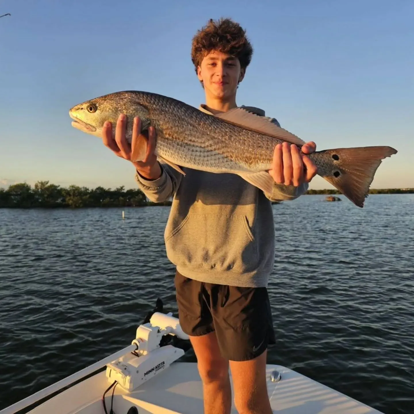 Redfish