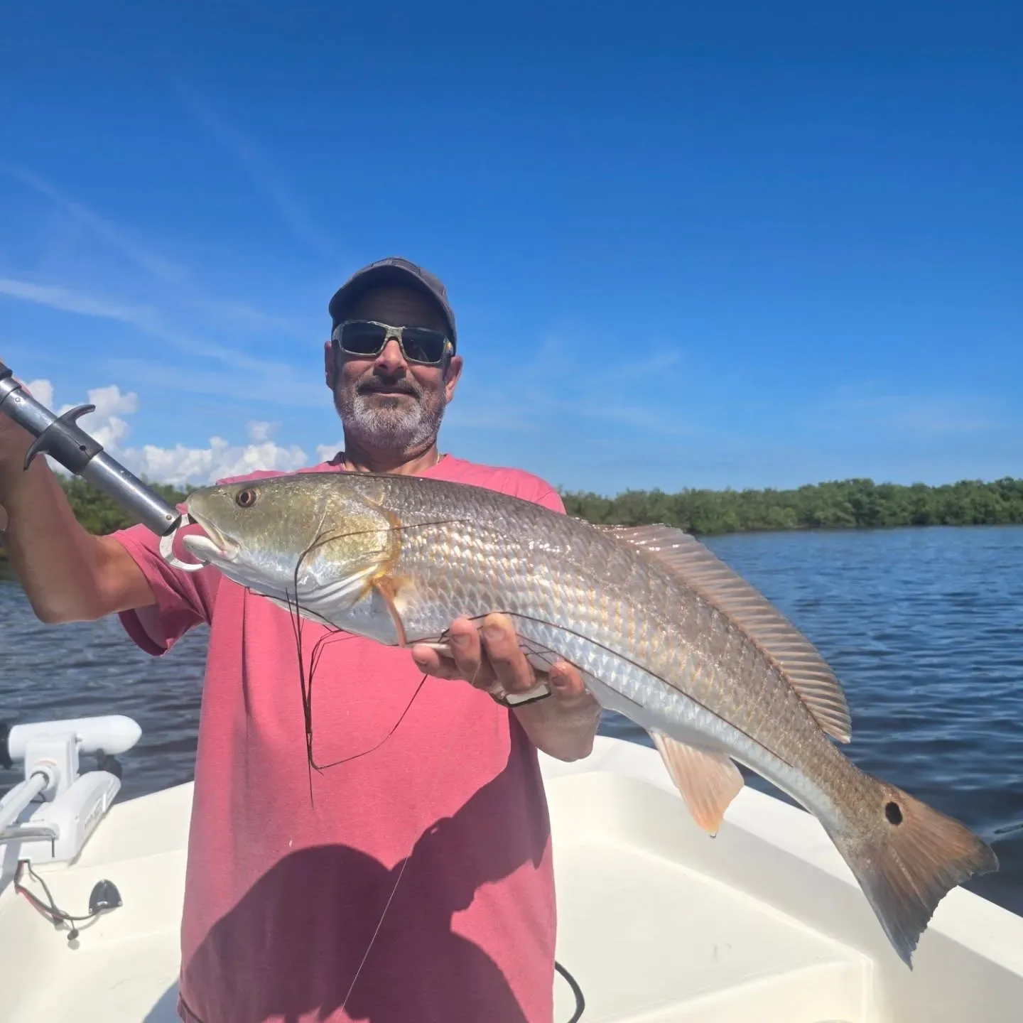 Long time client putting in work on them Mosquito lagoon reds... always a blast!! #buckedupapparellc #coderedfishingcharters #floridalife #floridafishing #floridafishingproducts #newsmyrnabeach #mosqutiolagoon #4horsemancorks #sordknives #x